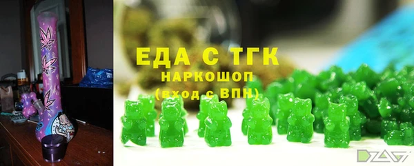 хмурый Няндома
