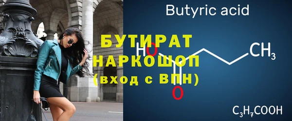 хмурый Няндома