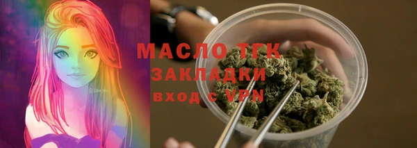 хмурый Няндома