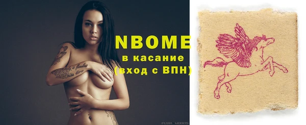 хмурый Няндома