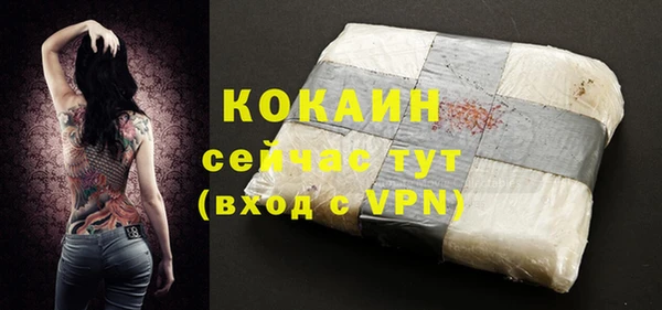 хмурый Няндома