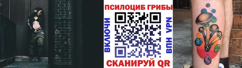 где можно купить   Ясногорск  Псилоцибиновые грибы Psilocybe 